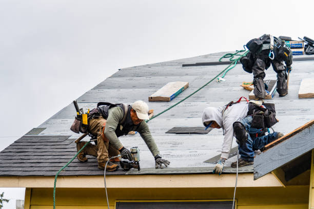 Professional Flat Roof Repair technician working in Lynnwood, WA